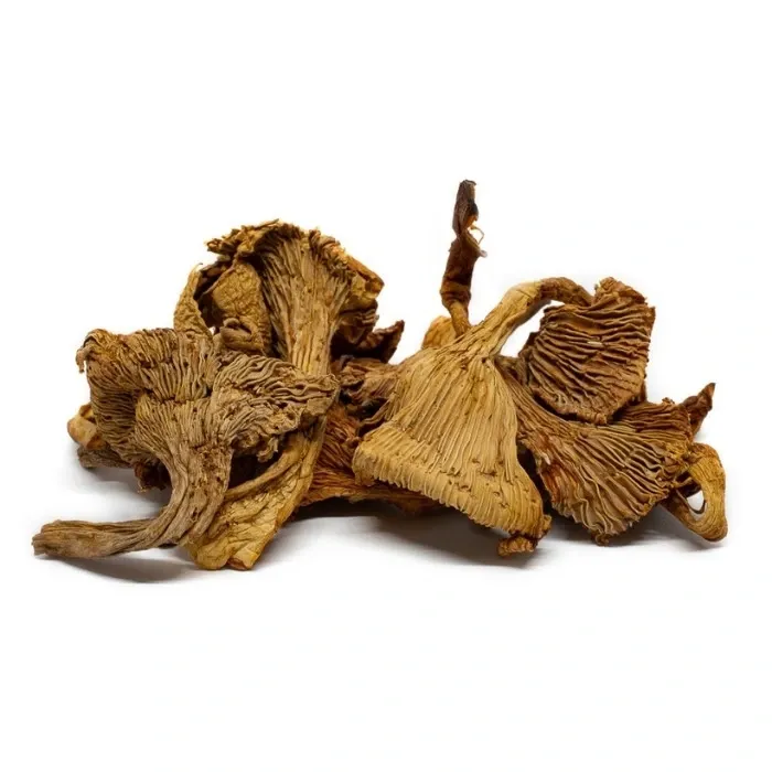 [ChanterellesKg] Chanterelles Girolles 1Kg