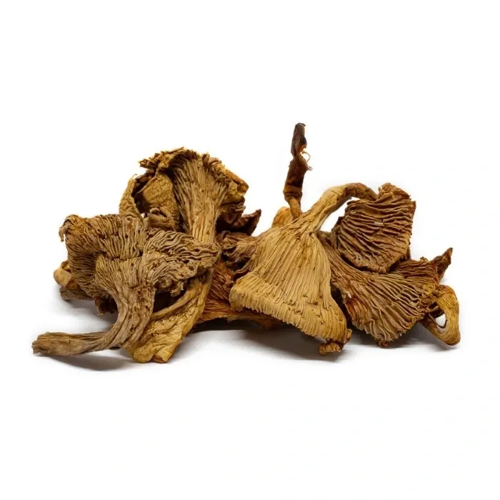 [Chanterelles30Gr] Chanterelles Girolles 30Gr